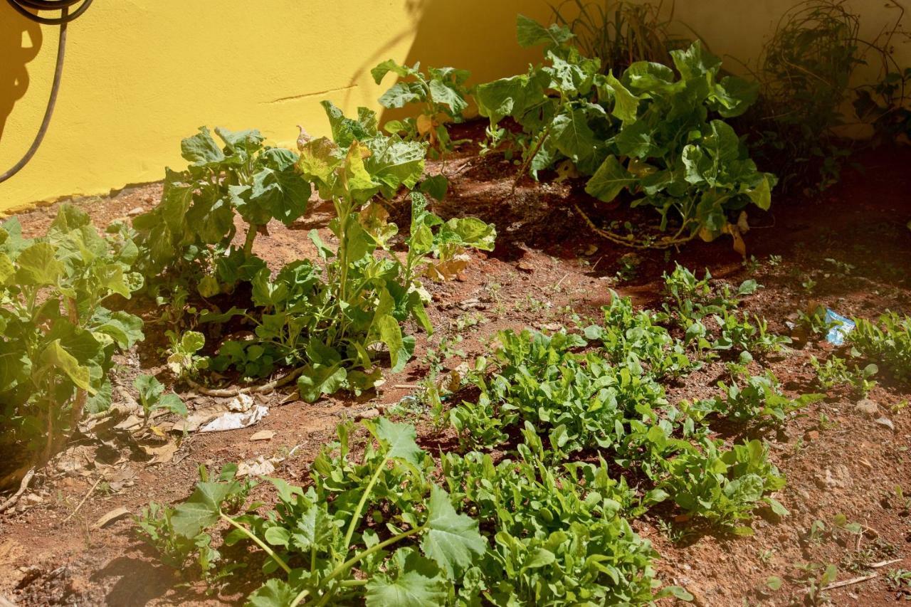 Vila Dos Cristais Apartamento Alto Paraíso de Goiás Exterior foto